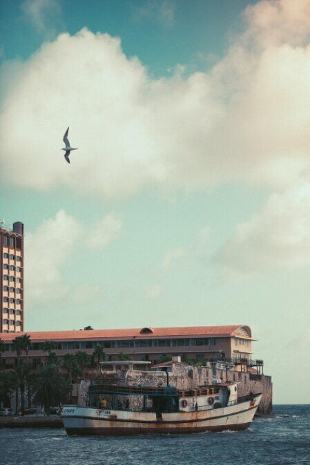 Technician deploying SIP phones in office